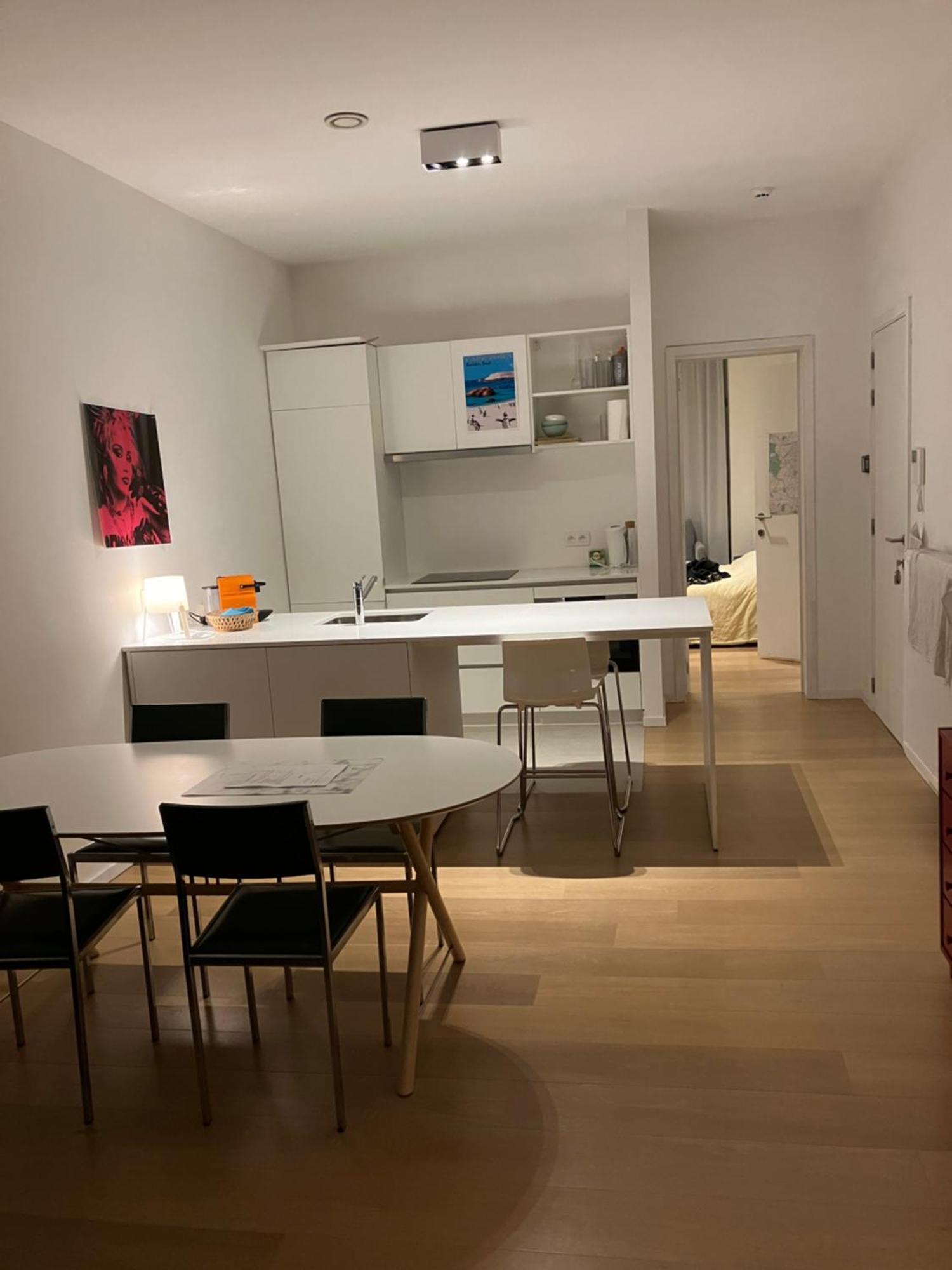 Apartment Renovated With Terrace South Ghent